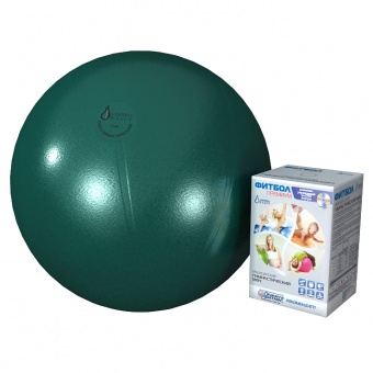 Гимнастический мяч Фитбол Премиум, 65 см + диск с комплексом упражнений