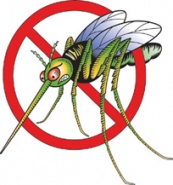 Защита от комаров, клещей и мошек